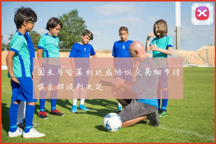 国米与哈莱利达成协议交易细节待俱乐部谈判决定